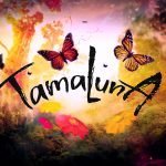 Tamaluna Handsketched Typeface by Layerform Design Co