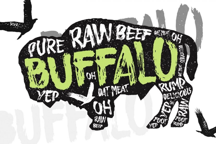 Buffalo Handsketched Typeface by Layerform Design Co
