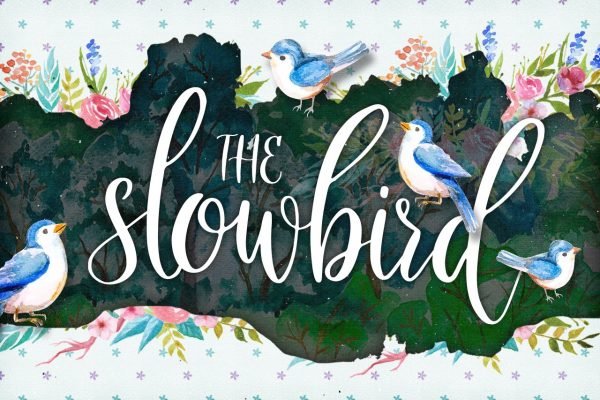 The Slowbird Typeface by Layerform Design Co