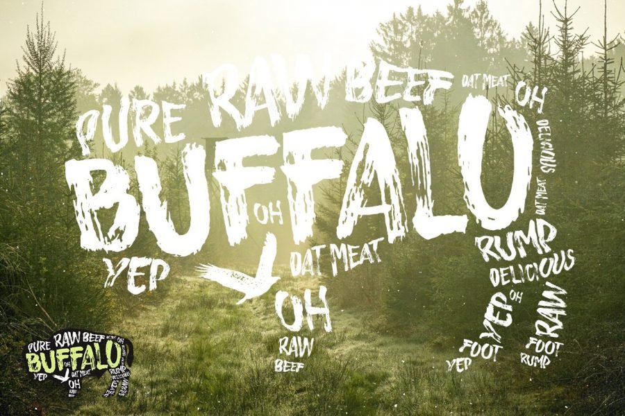 Buffalo Handsketched Typeface by Layerform Design Co