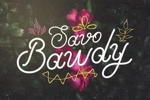 Savo Bawdy Typeface by Layerform Design Co