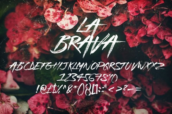 La Brava Handsketched Typeface by Layerform Design Co