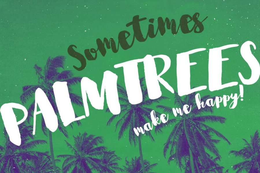 Mcallister Brush Script - Typeface - Image 5