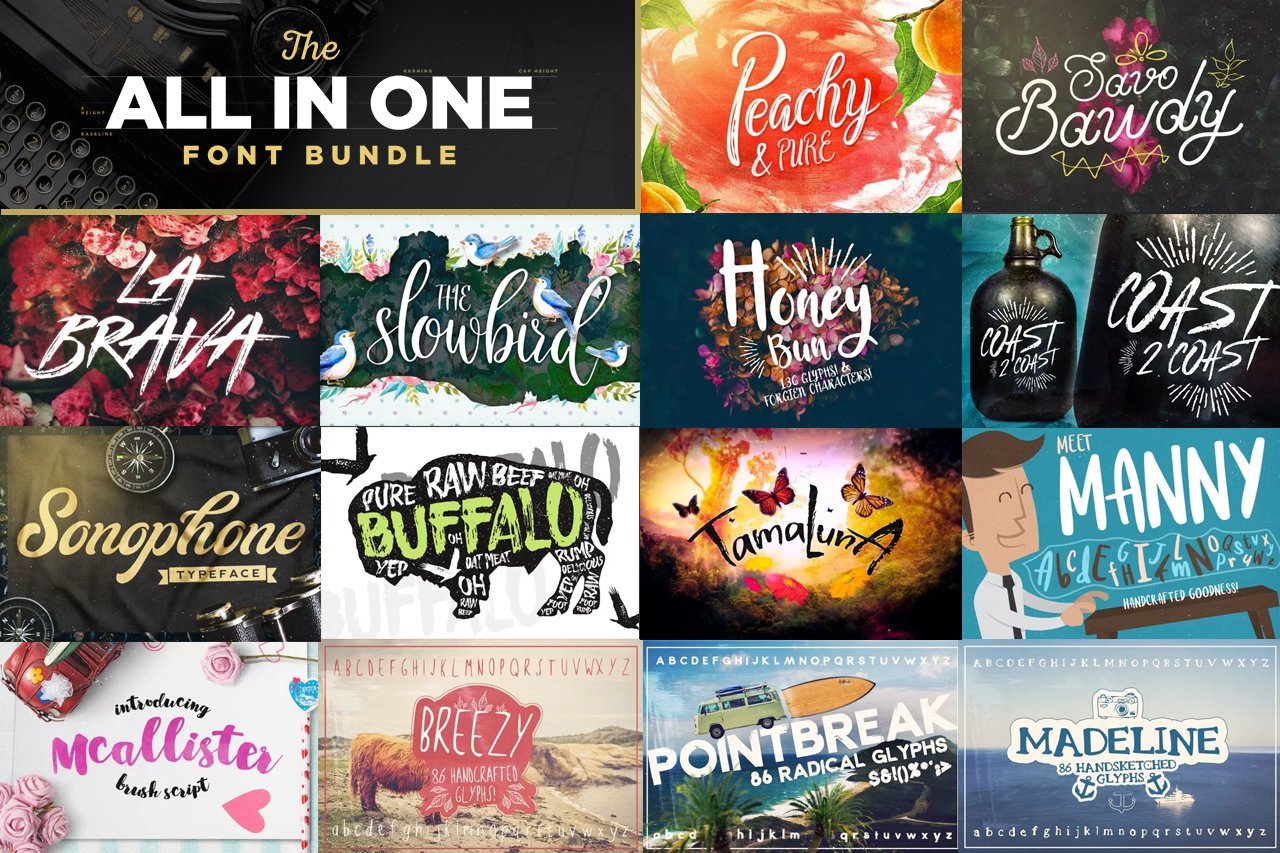 The All in One Font Bundle by Layerform Design Co