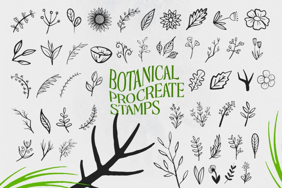 Botanical Procreate Stamp Brushes - Image 3