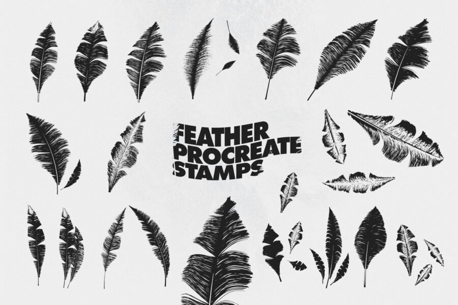 Feather Procreate Stamp Brushes - Image 4